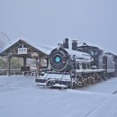 곡성 섬진강 기차마을 이미지