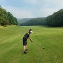 용인권 공작새가 노는 골프장 글렌로스cc 솔직한후기
