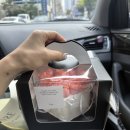 P&J | [W31. 워킹//파워J 어쩌면 P를 곁들인 결혼 준비] 메이든 웨딩촬영 후기