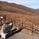 곰배령식당 이미지