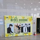 봄 인디, 보러와유 이미지