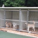 한유복동물병원 이미지