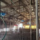 진기농장 이미지