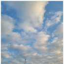 비치힐 | 영종도 을왕리 바다뷰 펜션 비치힐뷰하우스 후기 가족여행 완벽했어요