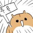 진부각