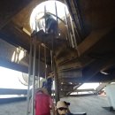 기린농장 이미지