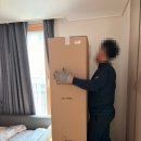 뉴센츄리카써비스 | 룸앤디 뉴모던 미드센츄리 모듈수납장 800 2단 선반형 M6 솔직 후기