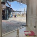 도그메종 이미지