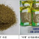더마이식품 머니투데이