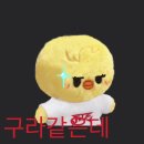 여긴 용복의 나라야