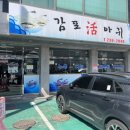 감포활아귀 이미지
