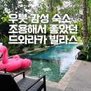 로얄카종합서비스 | 발리 우붓 숙소 추천 드와라카 로얄 빌라스 리조트 3인 가족여행 후기