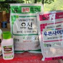 에스케어스 이미지