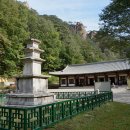 개인(강정숙) 이미지