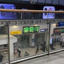 새들피아노 | 열차 타고 전국 한 바퀴! | 해랑열차 2박3일 후기