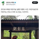 천리포차 이미지