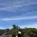 (주)데어리랜드 | 파크, 왓슨스베이 피시앤칩스 맛집 추천 및 페리 탑승 후기, 시드니 페리 트레인 트램 노선도, 콜스...