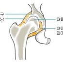 운동처방진단학(제1강)-제1장, 견관절(어깨관절)의 검진(I). 이미지