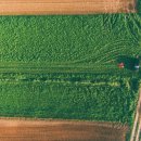 승주골프장 이미지