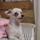 돌배나무 세그루 이미지