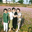 성도화원 이미지