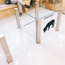 마음반려 동물의료원 이미지