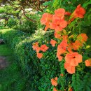 한여울통나무랜드 이미지