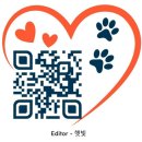 둘리쌍문공원 유아숲체험장 | 서울 도봉구 강아지랑 가기 좋은 공원 TOP 5! 댕댕이와 인생샷 찍으러 가자!