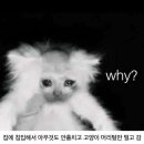 원트레이드