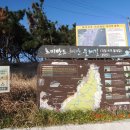 호미반도해안둘레길1-2코스(포항)1 이미지