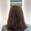 신창로 | 광주 신창동 미용실 “라비타헤어” 모발클리닉 솔직후기