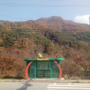 한마루농장 Daum카페