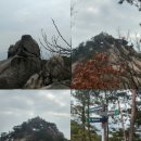 화접5리 이미지