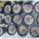 달욱농장 이미지