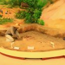 베트남 다낭 박물관/영흥사 이미지