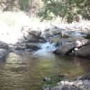 진짜진짜만화방 이미지