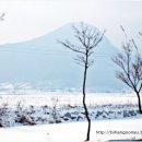 용궁해수탕