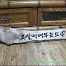 햇살이 머무는 뜨락 이미지