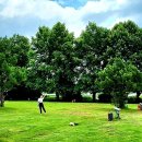 탄부초 사직분교 이미지