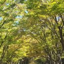 만의골 보리밥집 이미지