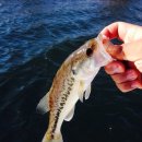 오늘유치원 이미지