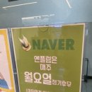 신사역 미용실 엔플럼 염색 톤다운 솔직후기 :-)