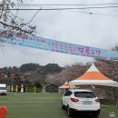 예래입구 | 제주 벚꽃 명소 예래생태공원과 웃물교 도민 탐방 후기