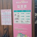 다목적광장 야영장 | 5월 포천 한탄강 가든페스타 2026 솔직 후기— 입장료, 비용, 출렁다리, 전기자전거,먹거리