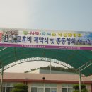 낙산초등학교 이미지