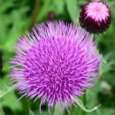 수성농장 이미지