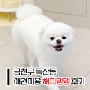 해피애견 | 금천구 독산동 애견미용 &lt;해피댕댕&gt; 다녀온 실제 후기
