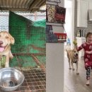 계양산목장 이미지