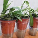 예사랑피아노음악학원 이미지