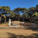 압해 정(丁)씨 시조묘 이미지